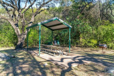 Austin, Teksas. Halk parkında çatısı olan piknik masası. Arka plandaki ağaçlara karşı sağda ızgaralar olan yemek alanı..