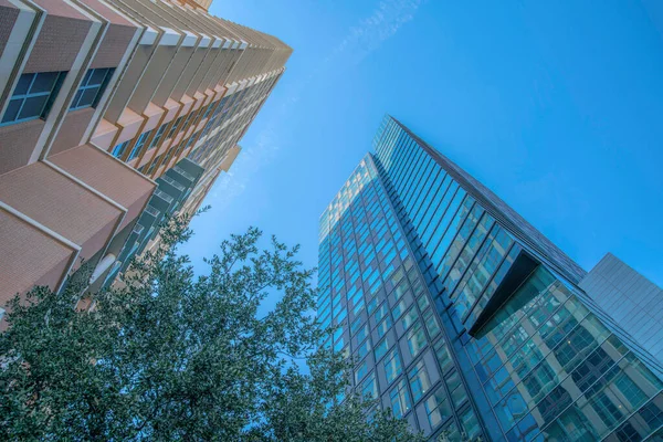 Austin Texas Vista Ángulo Bajo Dos Edificios Residenciales Gran Altura — Foto de Stock