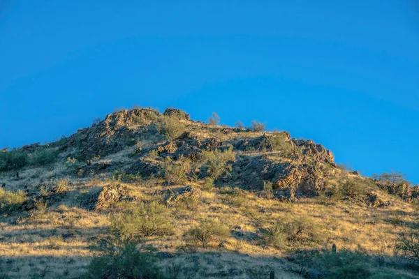 Phoenix Arizona Rotsachtige Helling Met Grassen Cactus Bij Pima Canyon — Stockfoto