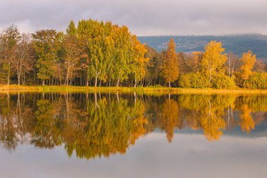 Sonbahar manzarası, gölün su yüzeyindeki renkli ağaçların yansıması..