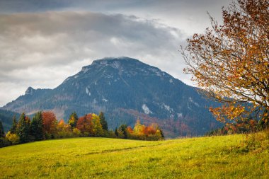 Kuzey Slovakya, Avrupa 'daki Velky Choc tepesi ile sonbahar manzarası.
