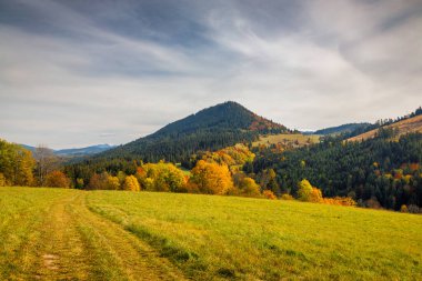 Arka planında parlak renkli ağaçlar ve tepeler olan sonbahar manzarası. Kuzey Slovakya 'da Orava bölgesi, Avrupa.