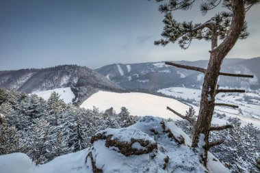 Karlı kış manzarası. Slovakya 'daki Rajec Vadisi, Avrupa.