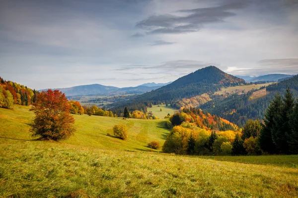 背景に鮮やかな色の木々や丘と秋の風景 北スロバキアのOrava地域 ヨーロッパ — ストック写真