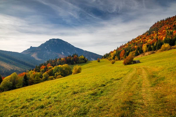 欧洲斯洛伐克北部有Velky Choc山的秋季风景 — 图库照片