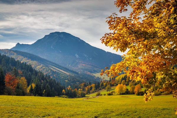 Herfst Landschap Met Velky Choc Heuvel Het Noorden Van Slowakije — Stockfoto