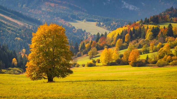 Herfst Landschap Met Fel Gekleurde Bomen Heuvels Achtergrond Orava Regio — Stockfoto