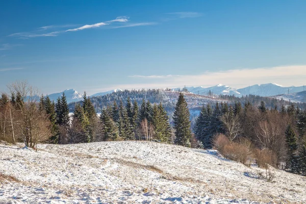 Vista Paisaje Invernal Con Montañas Fondo Norte Eslovaquia — Foto de Stock