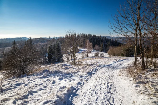 Utsikt Över Vinterlandskapet Norra Slovakien Europa — Stockfoto