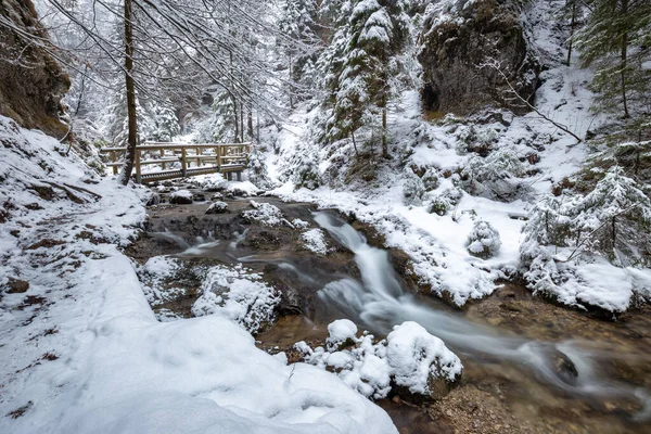 Vinterlandskap Med Vild Bäck Och Vattenfall Genom Smal Ravin Och — Stockfoto