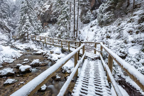 Vinterlandskap Med Träbro Turiststig Genom Smal Ravin Och Ravin Täckt — Stockfoto