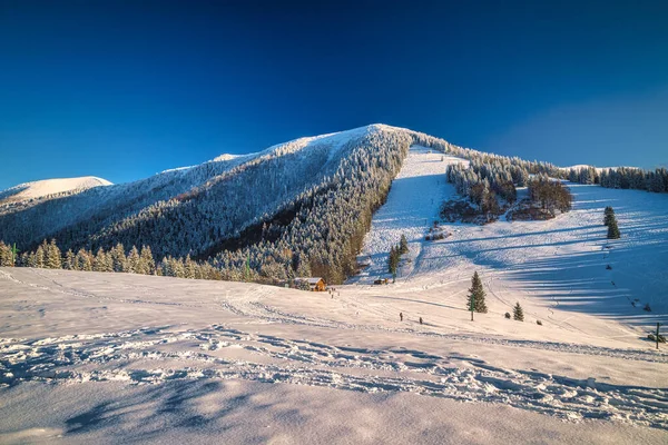 Winter Mountain Snowy Landscape Sunny Day Mala Fatra National Park — Stock Photo, Image