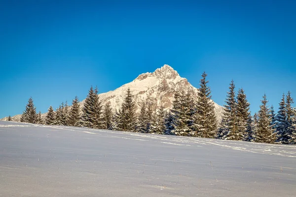 Invierno Paisaje Nevado Montaña Día Soleado Colina Velky Rozsutec Parque — Foto de Stock