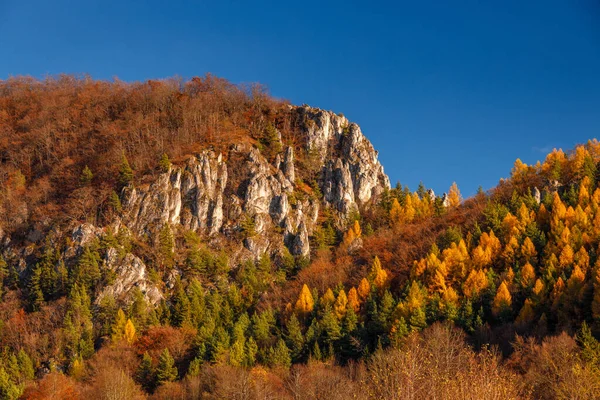Горный Ландшафт Скалами Лесами Осенью Подскальский Национальный Природный Заповедник Рохач — стоковое фото
