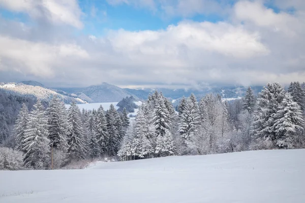 Paisaje Invernal Con Árboles Nevados Montañas Día Soleado Región Orava —  Fotos de Stock