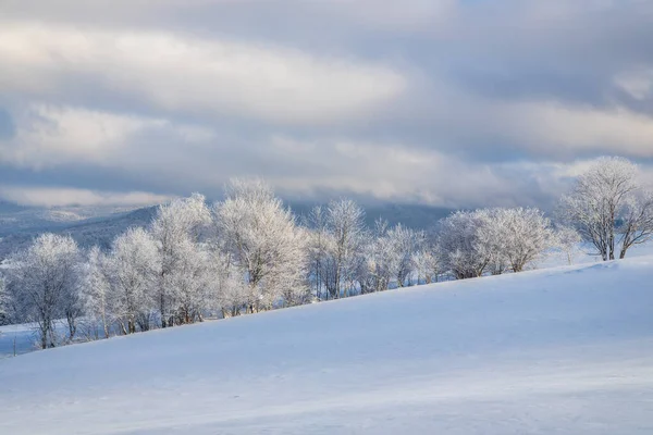 Vista Paisaje Invernal Nevado Con Árboles Cubiertos Hielo Región Orava —  Fotos de Stock