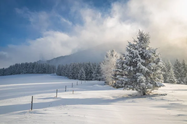 Winter Landscape Snowy Trees Mountains Sunny Day Mala Fatra National — Stockfoto