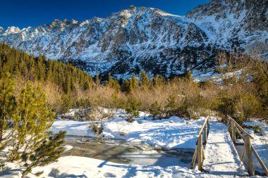 Karlı dağlarla birlikte manzara manzarası. Yüksek Tatras Ulusal Parkı, Slovakya, Avrupa.