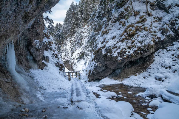 Verschneite Winterlandschaft Mit Holzbrücke Auf Touristenpfad Durch Eine Enge Schlucht — Stockfoto