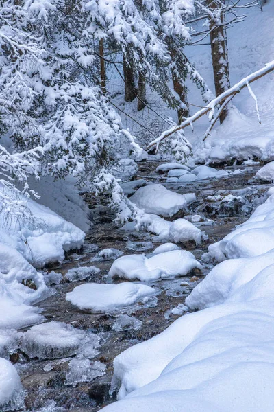 Paisagem Inverno Nevado Com Fluxo Selvagem Parque Nacional Mala Fatra — Fotografia de Stock