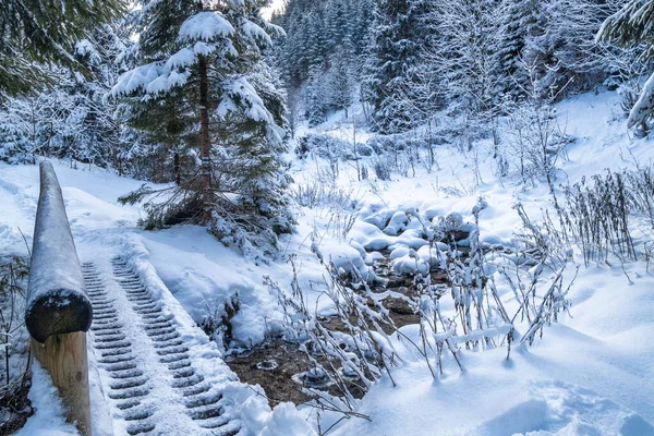Paisagem Inverno Nevado Com Uma Ponte Madeira Trilha Turística Através — Fotografia de Stock