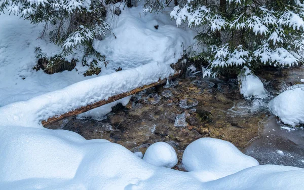 Snöigt Vinterlandskap Med Vild Bäck Nationalparken Mala Fatra Slovakien Europa — Stockfoto
