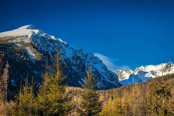Погляд Ландшафт Сніжними Горами Національний Парк Татр Словаччина Європа — стокове фото