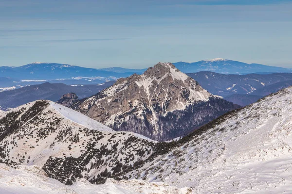 Landscape Winter Snowy Mountains Velky Rozsutec Peak Mala Fatra National — Stock Photo, Image