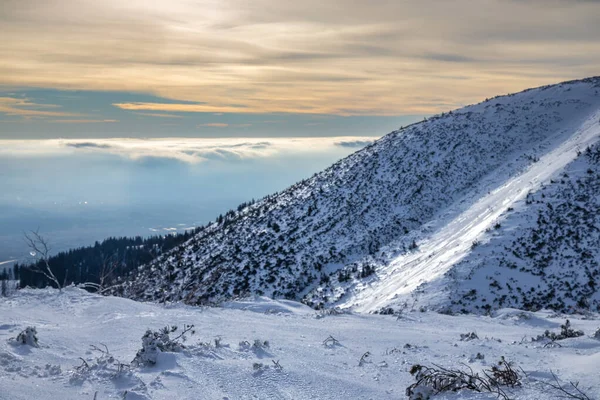 Landskap Vintersnöiga Berg Nationalparken Mala Fatra Slovakien Europa — Stockfoto