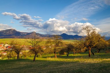 Güneşli bahar kırsalları, köyün kenarında bahçeler ve arka planda dağlar..
