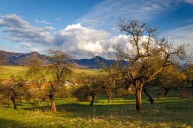 Güneşli bahar kırsalları, köyün kenarında bahçeler ve arka planda dağlar..