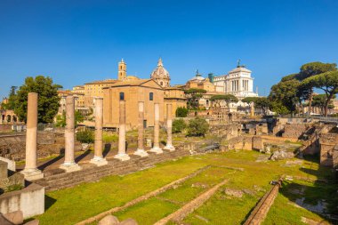 Roma Forumu (Latince adı Forum Romanum), Roma, İtalya ve Avrupa 'nın merkezindeki antik Roma harabeleri meydanı..