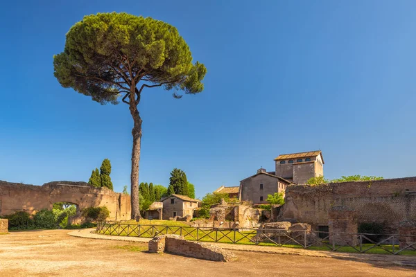 Les Anciens Bâtiments Romains Sur Colline Palatine Dessus Forum Romain — Photo