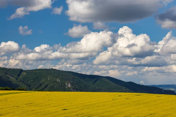 Tavaszi Táj Olajrepcével Hegyek Kék Drámai Felhőkkel Háttérben Rajecka Völgy — Stock Fotó