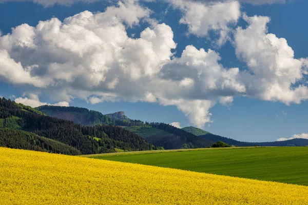 Tavaszi Táj Olajrepcével Hegyek Kék Drámai Felhőkkel Háttérben Klak Hegy — Stock Fotó