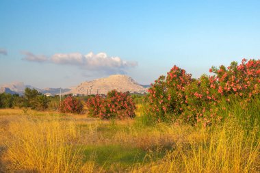 A landscape view of the interior of the Rhodes island with mountains on a background, Greece, Europe.