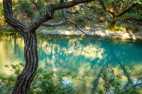 Lake Seven Springs Waterfall Forest Area Island Rhodes Greece Europe — ストック写真