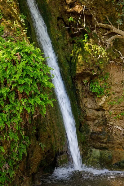 Waterfall Valley Butterflies Petaloudes Valley Nature Reserve Rhodes Greece Europe — Foto Stock