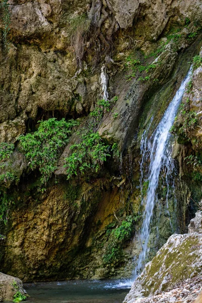 Waterfall Valley Butterflies Petaloudes Valley Nature Reserve Rhodes Greece Europe — ストック写真