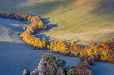Sonbahar renklerinde ağaçlar vadide. Ulusal Doğa Rezervi Sulov Kayalıkları, Slovakya, Avrupa.