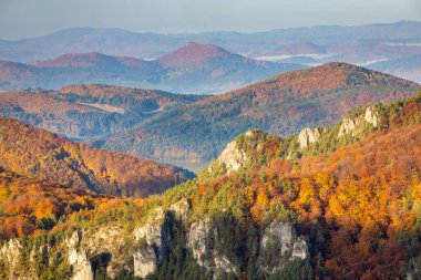 Sonbahar renklerinde tepeler. Ulusal Doğa Rezervi Sulov Kayalıkları, Slovakya, Avrupa.