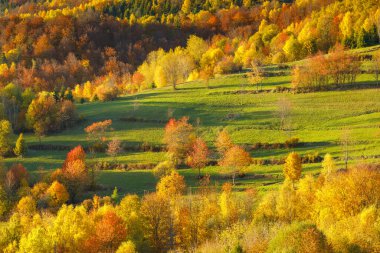 Sonbahar mevsiminde güzel bir kırsal alan. Slovakya, Avrupa 'daki Mala Fatra Milli Parkı.
