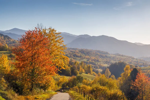 Berglandschap Het Najaar Nationaal Park Mala Fatra Het Noordwesten Van — Stockfoto