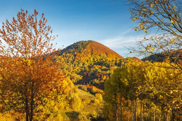 Landscape of hills in the autumn season. The Mala Fatra national park in northwest of Slovakia, Europe.