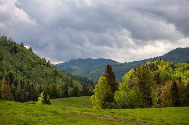 Çayırların ve ormanların bahar manzarası. Orta Slovakya, Avrupa 'daki Muranska planina ulusal parkı.