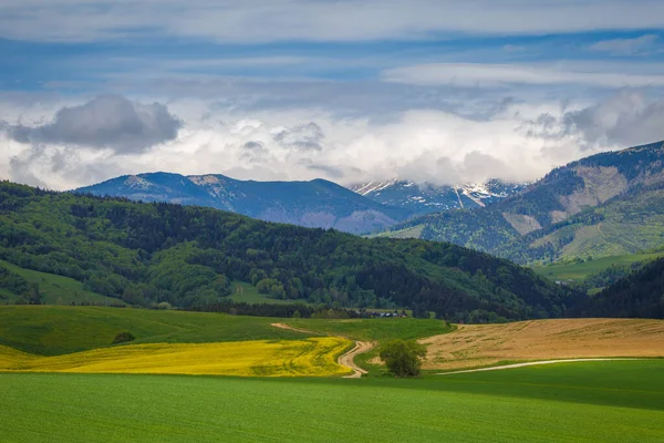 Ανοιξιάτικο Τοπίο Λιβαδιών Και Δασών Χαμηλή Οροσειρά Tatras Στο Παρασκήνιο — Φωτογραφία Αρχείου