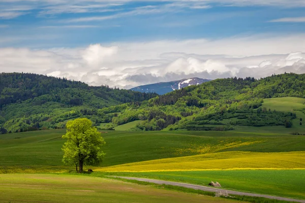牧草地や森林の春の風景 バックグラウンドで低タトラ山脈 スロバキア ヨーロッパ — ストック写真