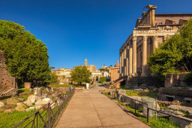 Roma Forumu (Latince adı Forum Romanum), Roma, İtalya ve Avrupa 'nın merkezindeki antik Roma harabeleri meydanı..