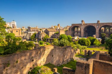 Roma Forumu (Latince adı Forum Romanum), Roma, İtalya ve Avrupa 'nın merkezindeki antik Roma harabeleri meydanı..