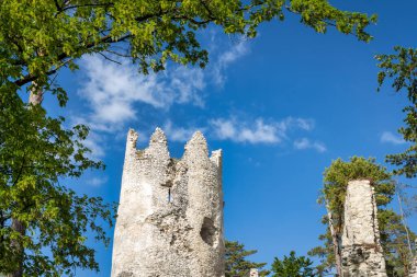 Blatnica Kalesi, Slovakya 'nın kuzeyinde, Avrupa' da bir ortaçağ Karpatlar kalesinin kalıntıları..